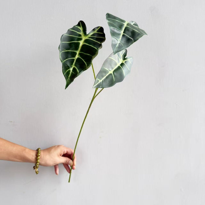 Moderne Decoratieve Plant