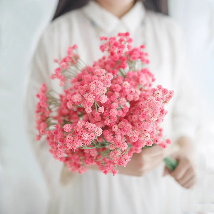 Elegante Bloemenstengel