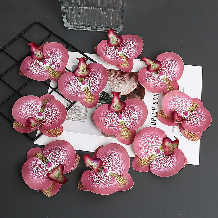 Decoratieve Orchidee Petal voor Thuisdecoratie Display