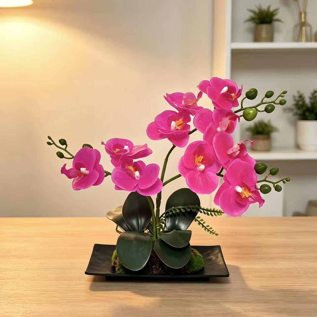 Orchidee Bloem Arrangement