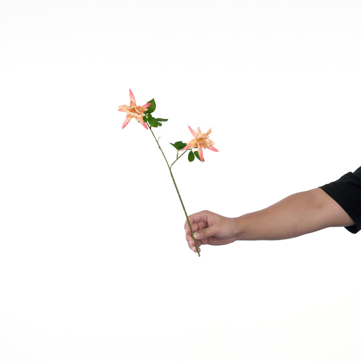 Levendige Multi-Bloom Bloemstengel