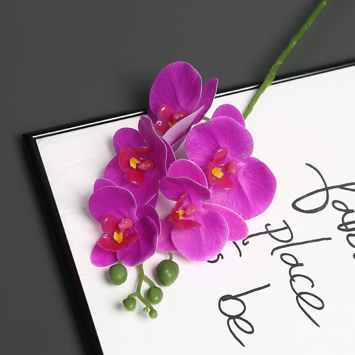 Levensechte Orchidee Bloem Steel