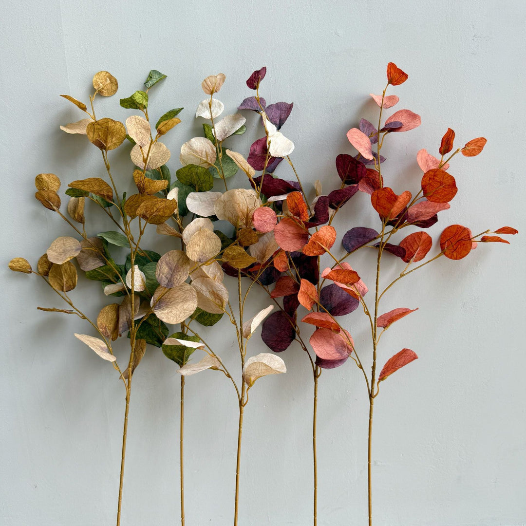 Elegante Decoratieve Eucalyptus Tak