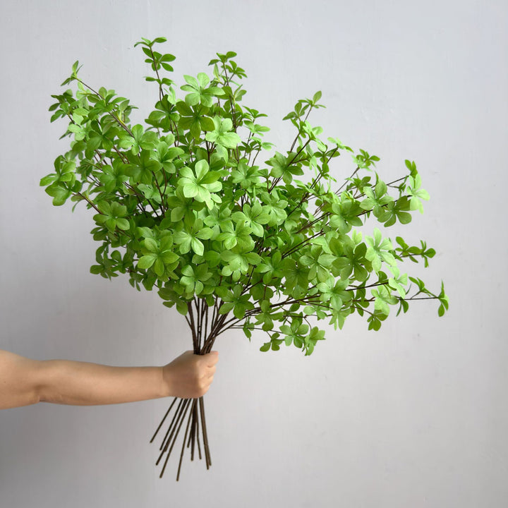 Elegante Decoratieve Plant