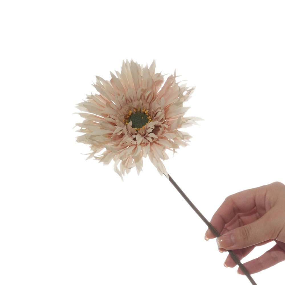 Levensechte Gerbera Daisy Stengel