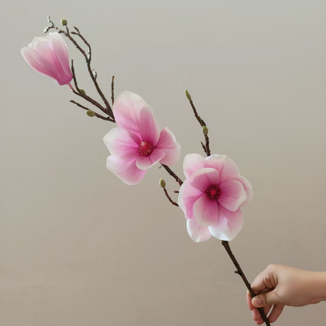 Elegante Magnolia Bloesem Stam