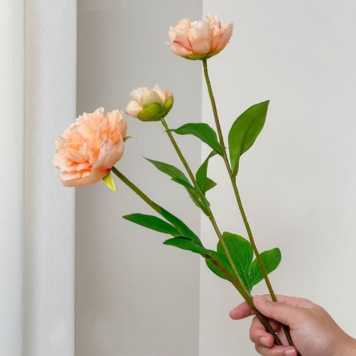 Realistische Pioenrozen Bloemensteel