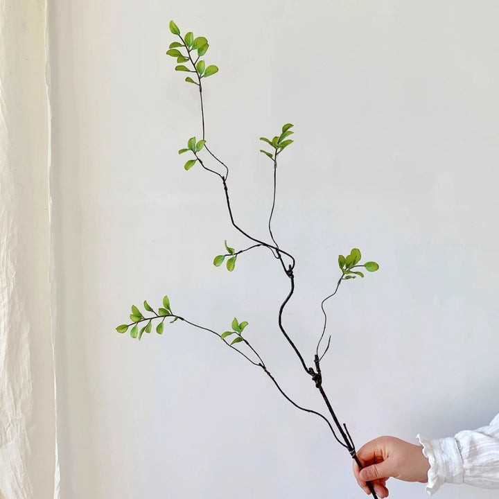 Decoratieve Natuurlijke Takkenarrangement