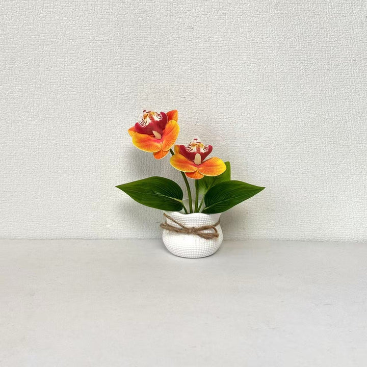 Decoratieve Potplant Orchidee Arrangement voor Binnengebruik