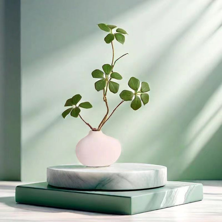 Minimalistische Decoratieve Plantenarrangement