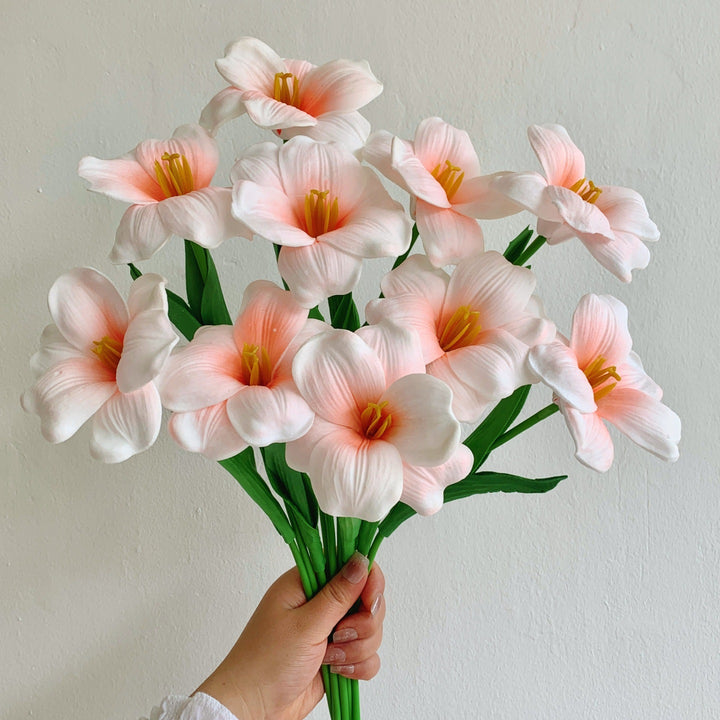 Thuis Decoratieve Bloem