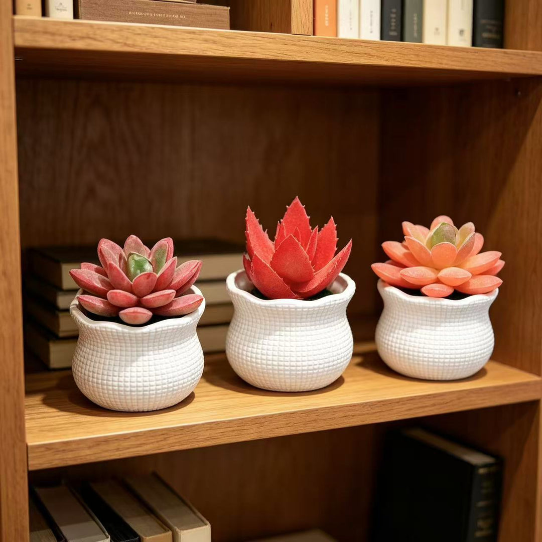 Decoratieve Nep Cactus Arrangement