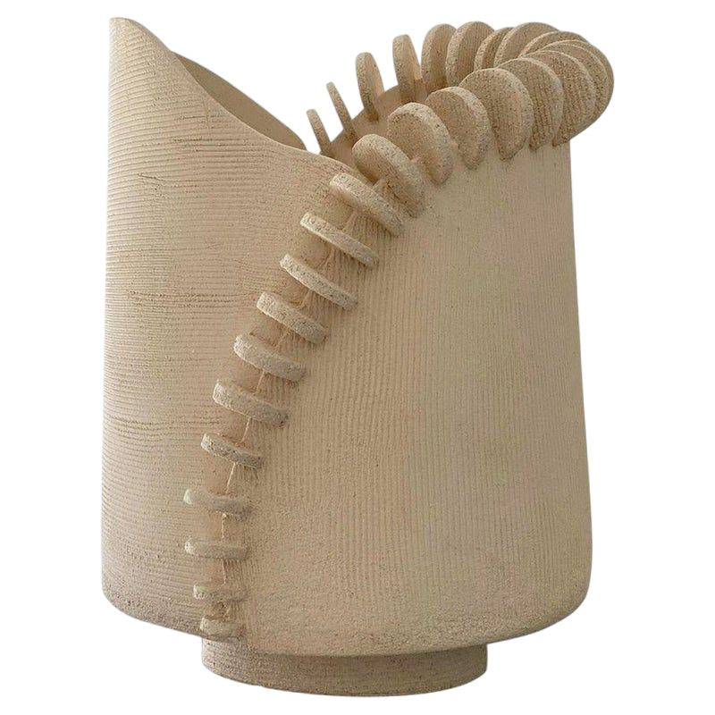 Decoratieve Sculpturale Vaas