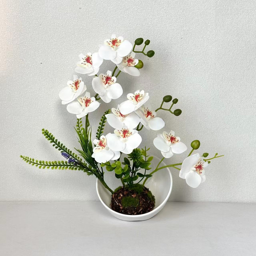 Nep-Orchidee Bloemarrangement voor Thuisdisplay