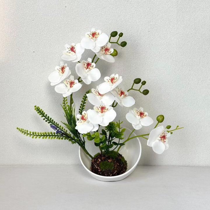 Nep-Orchidee Bloemarrangement voor Thuisdisplay