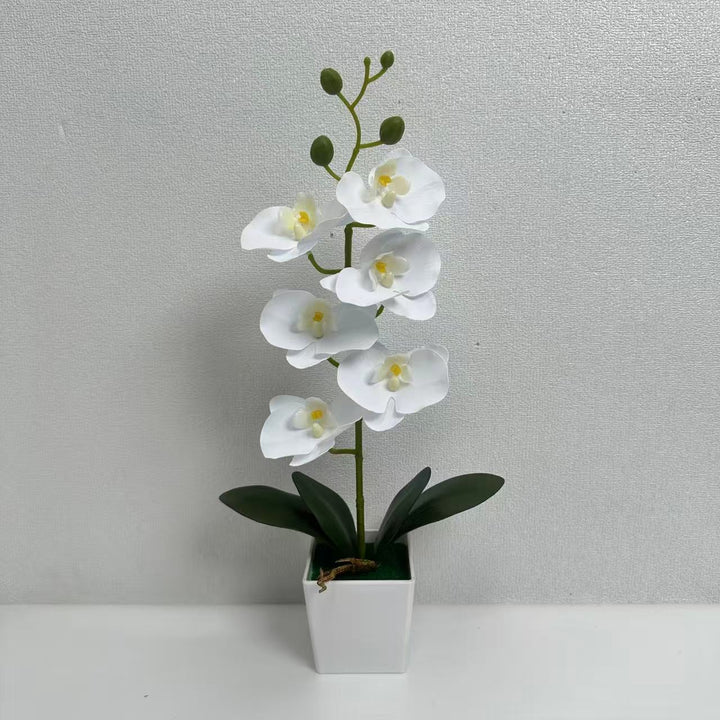 Elegante Kunstmatige Orchidee