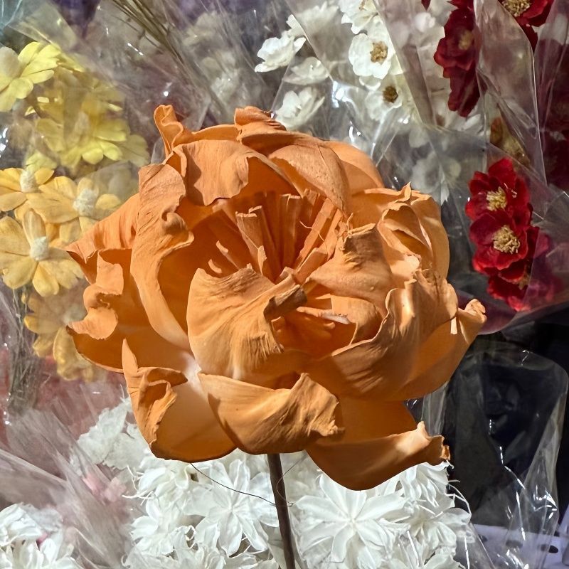 Elegante Decoratieve Nepbloemenboeket