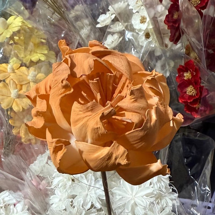 Elegante Decoratieve Nepbloemenboeket