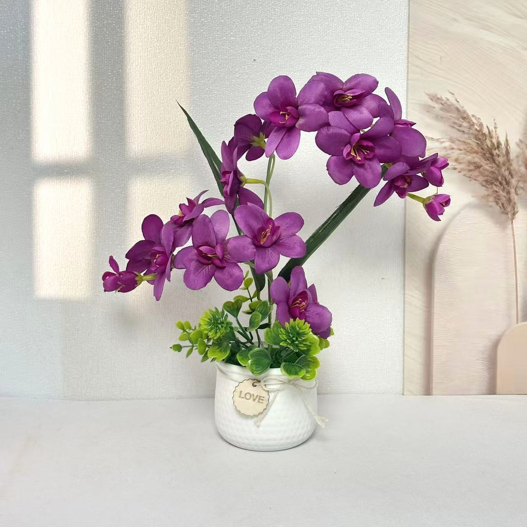 Decoratieve Orchidee Plant Display