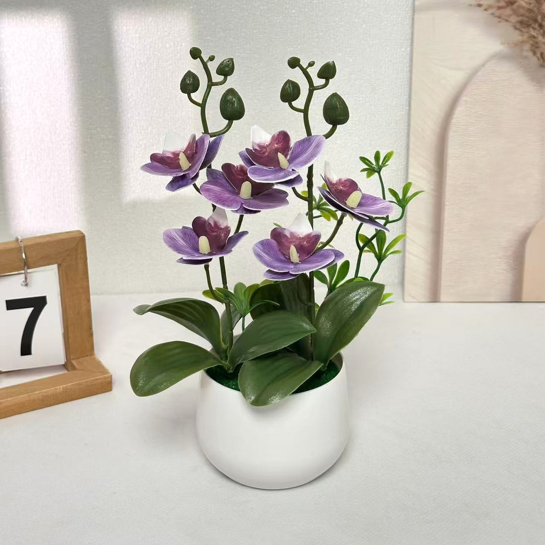 Orchidee Bloemstuk