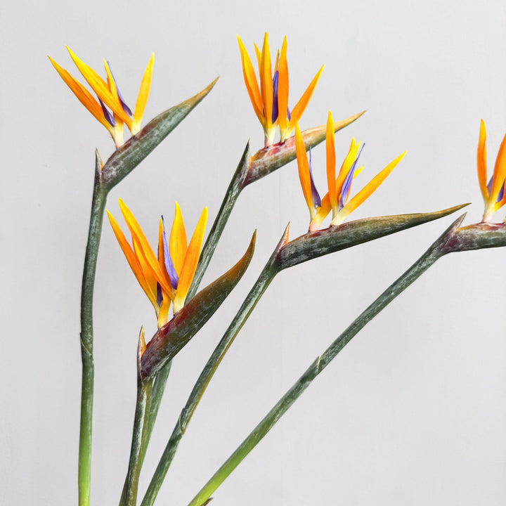 Decoratieve Bloemendisplay