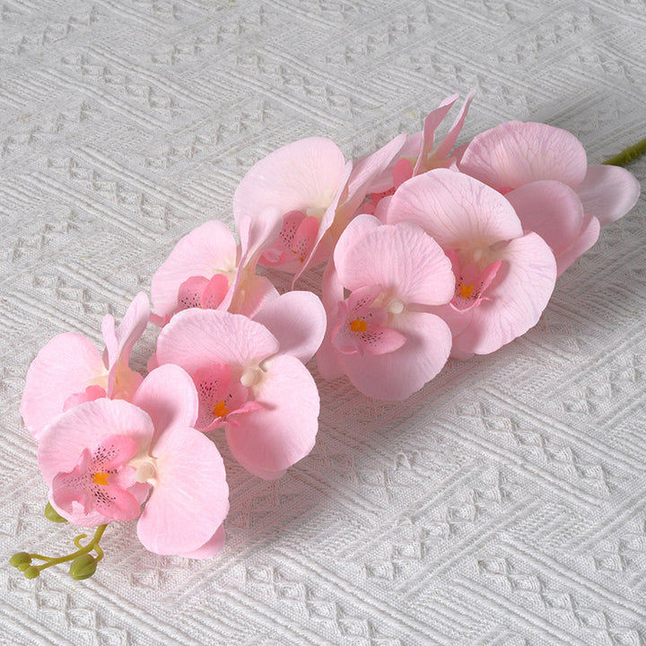 Elegante Kunstmatige Orchidee Stelen