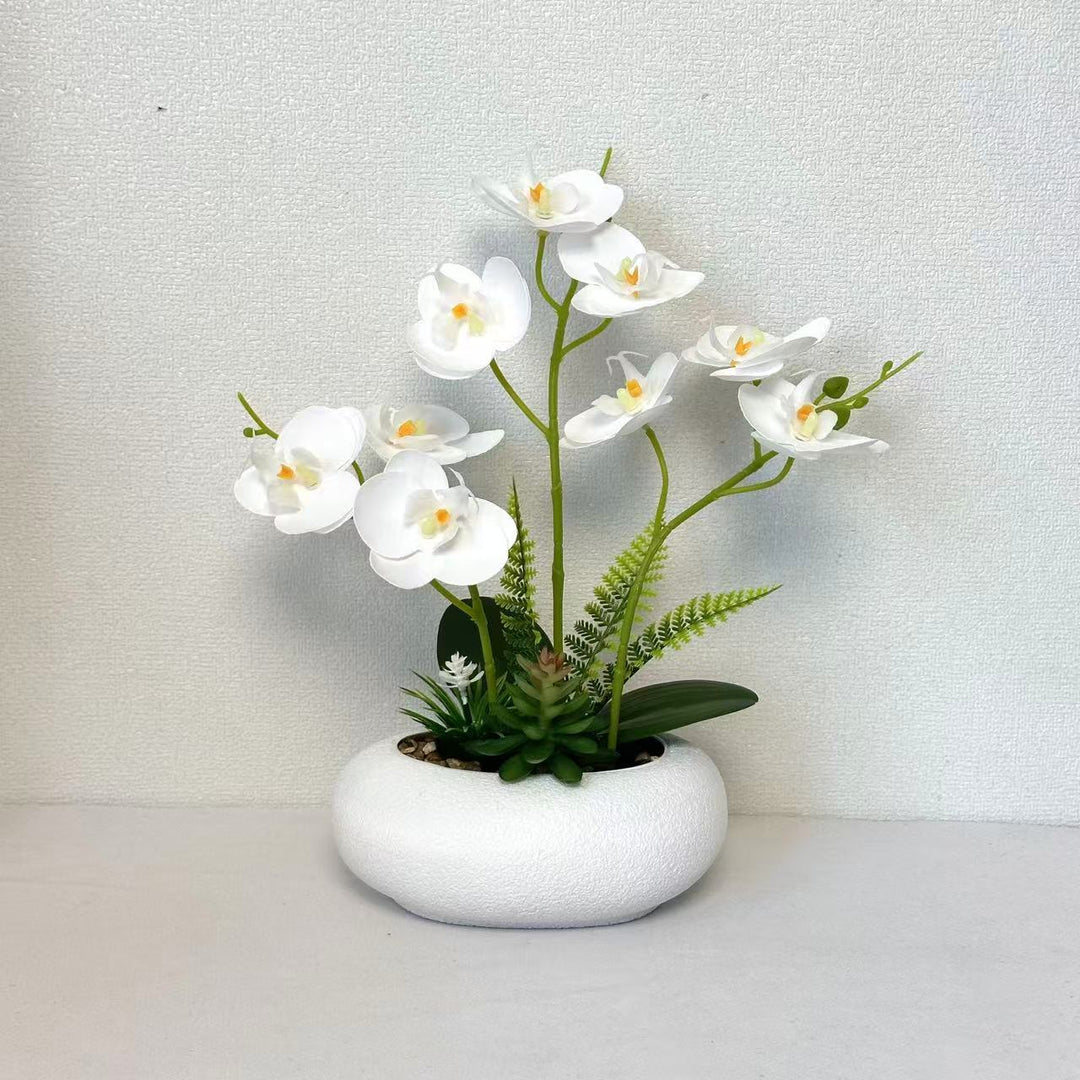 Decoratieve Neporchidee