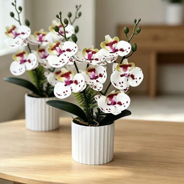 Realistische Orchidee Plantenarrangement