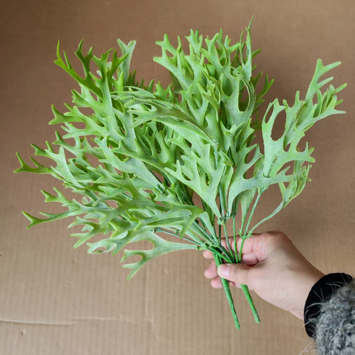 Decoratieve Varensblad Arrangement