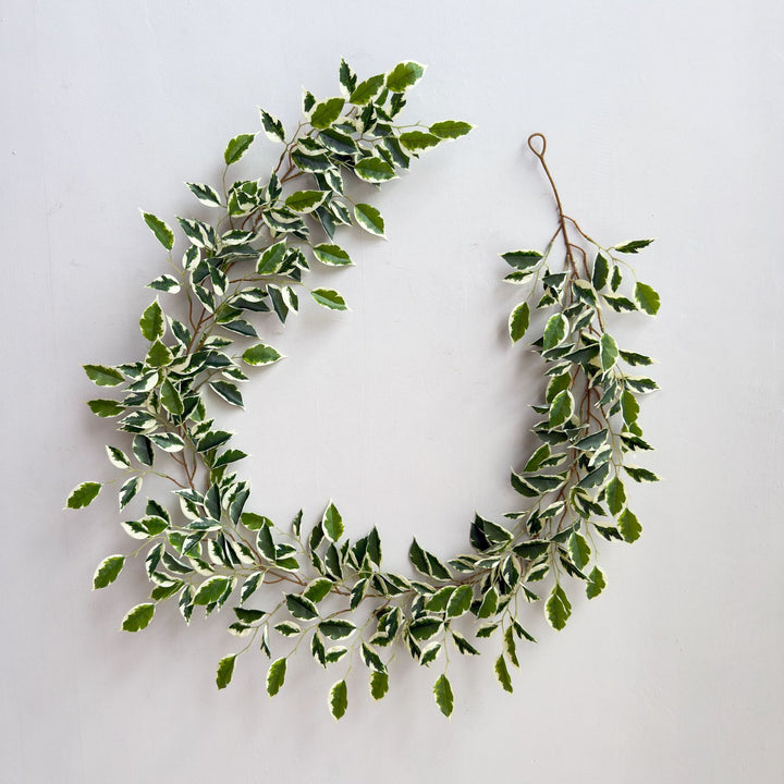Decoratieve Nepplant voor Thuis