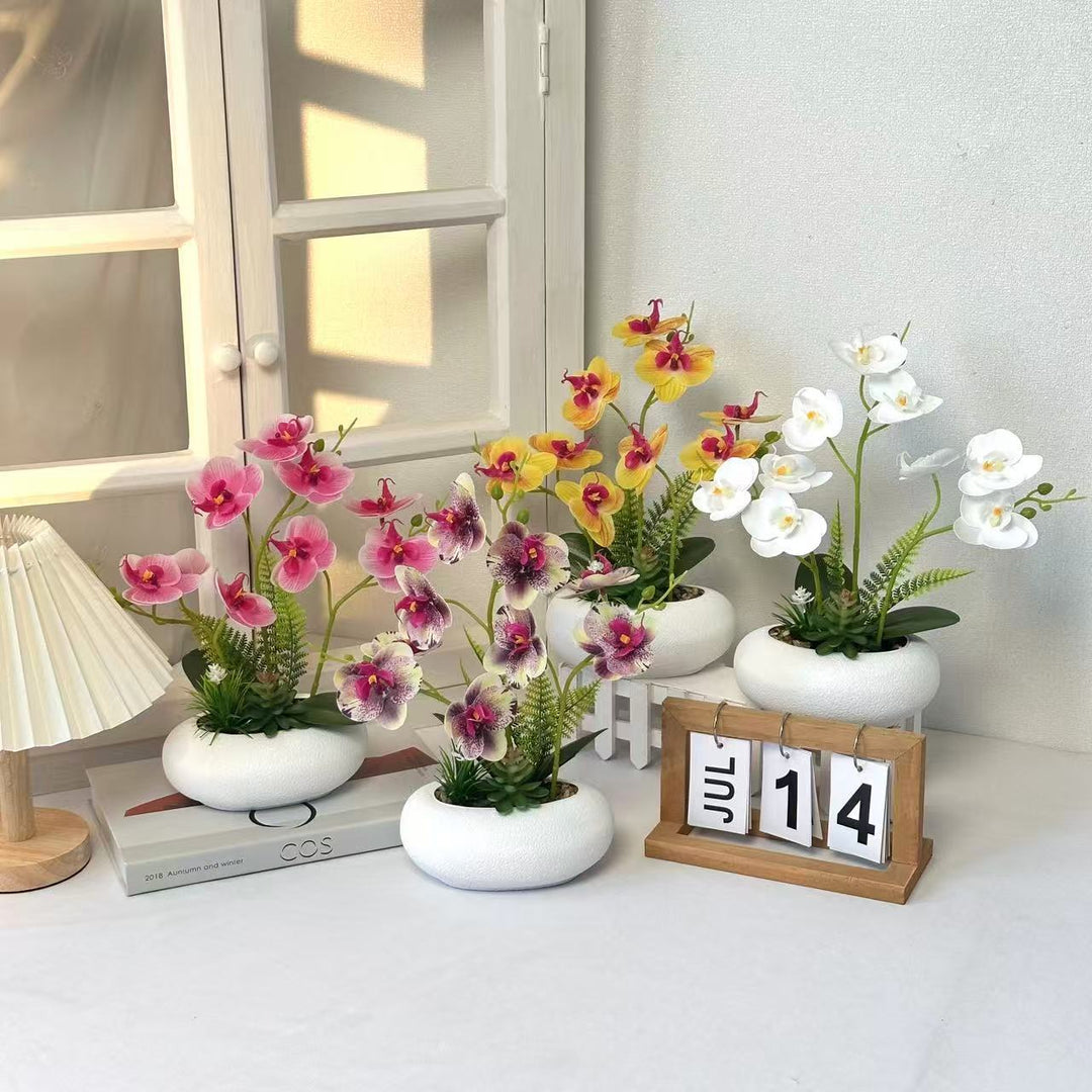 Decoratieve Neporchidee