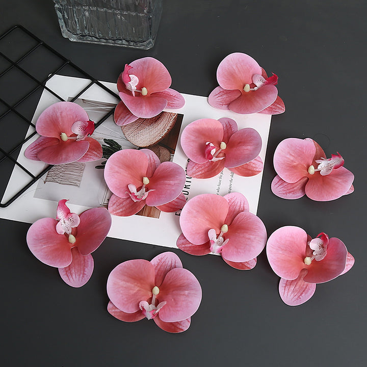 Decoratieve Orchidee Petal voor Thuisdecoratie Display