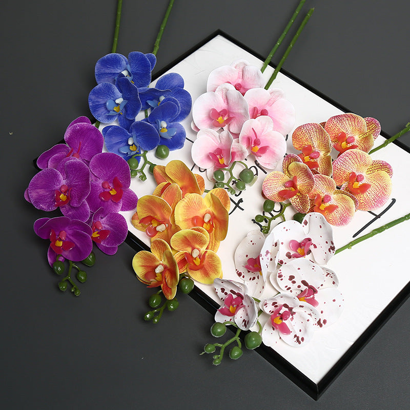 Levensechte Orchidee Bloem Steel