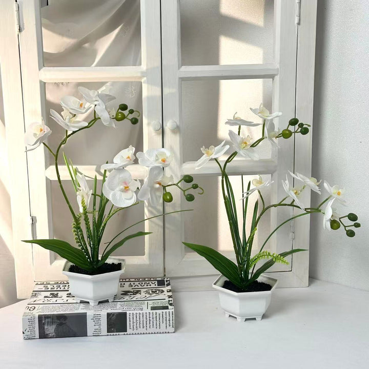 Home Decoratieve Kunstmatige Orchidee voor Thuisdecoratie en Tentoonstelling
