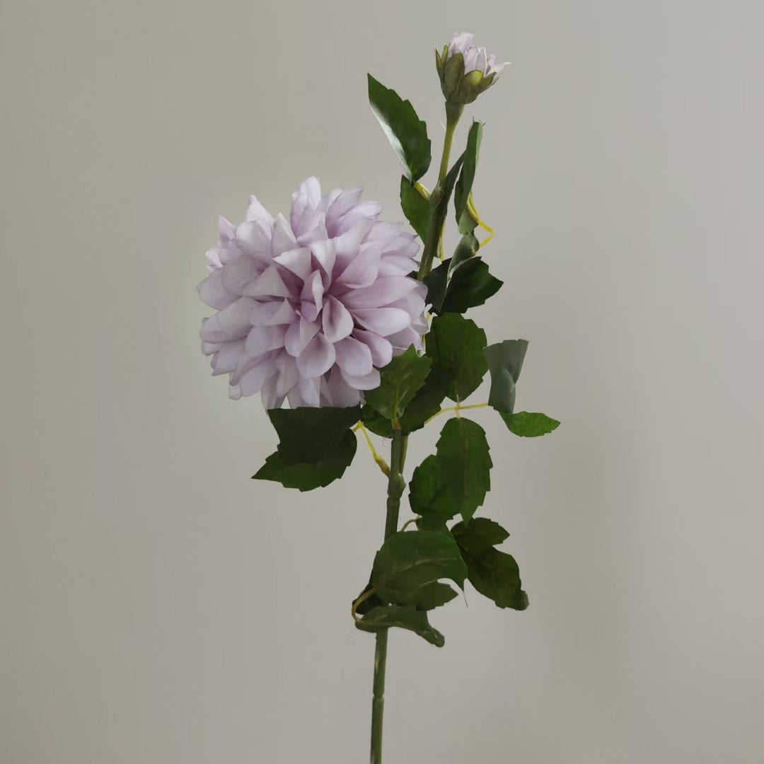 Realistische Dahlia Bloemsteel