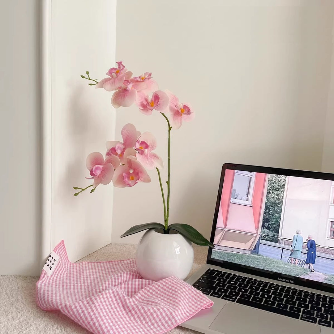 Decoratieve Orchideeënaankleding