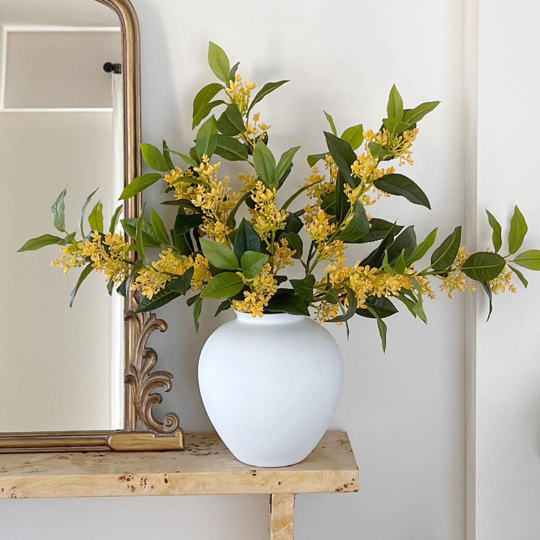 Decoratieve Gele Bloesem Tak