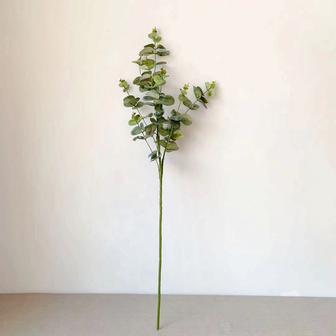 Decoratieve Eucalyptus Steel