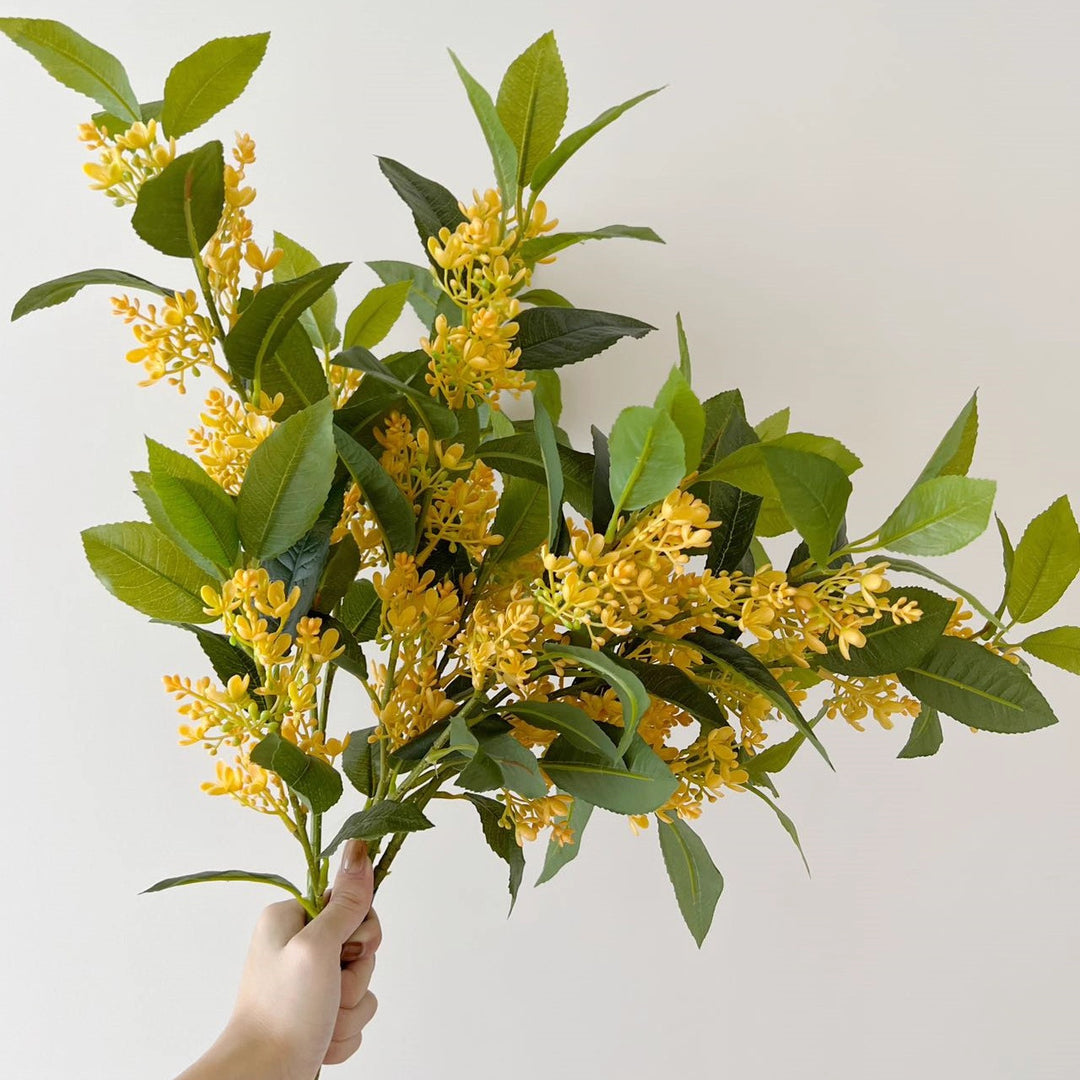 Decoratieve Gele Bloesem Tak