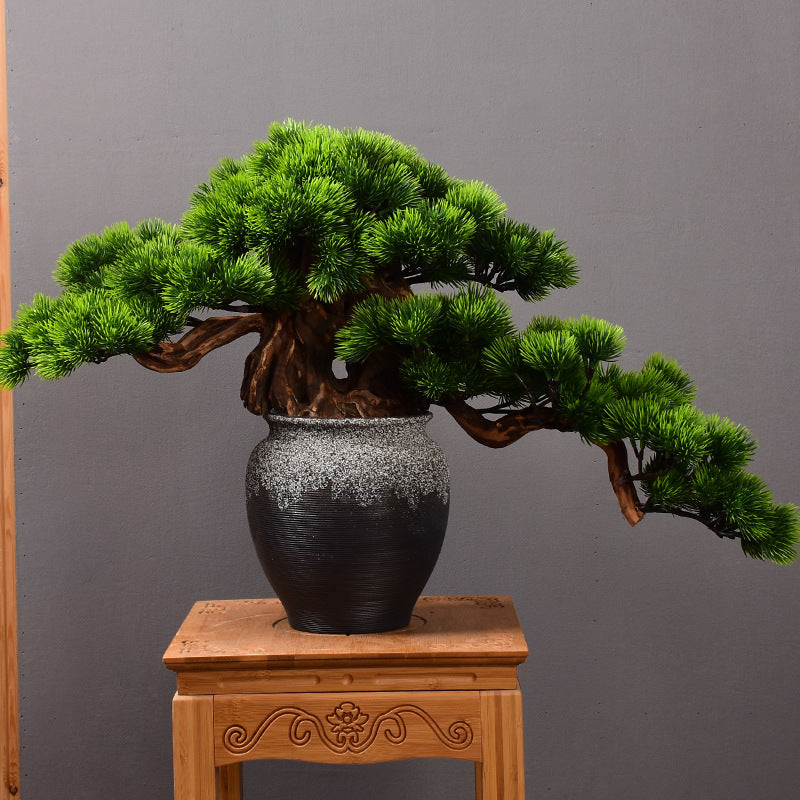 Elegante Textuurlijke Decoratieve Pot