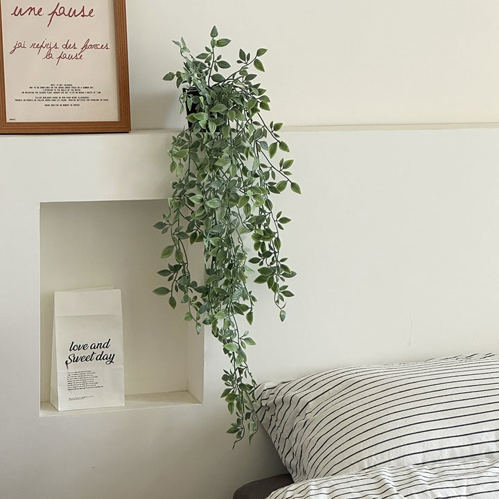 Levensechte Hang Eucalyptus Plant
