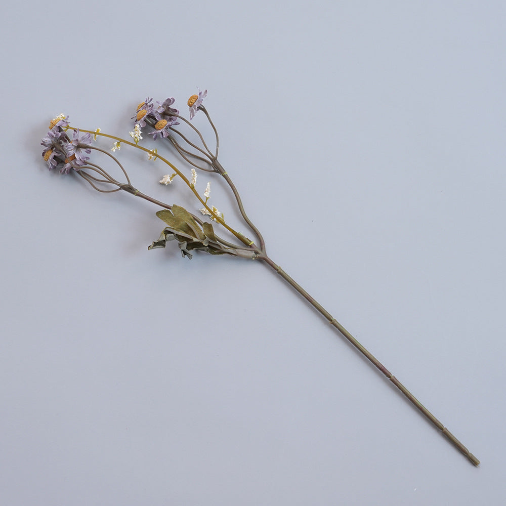 Elegante Gedroogde Botanische Tak