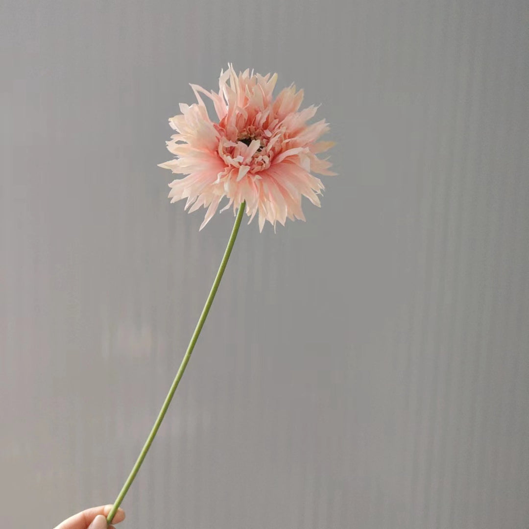 Levensechte Decoratieve Gerbera Bloem Steel