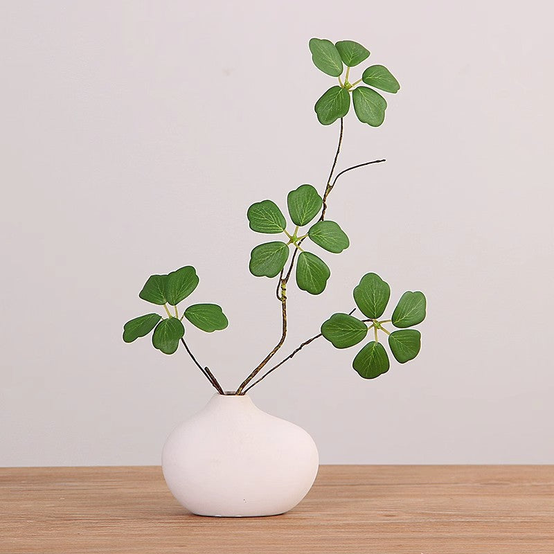 Minimalistische Decoratieve Plantenarrangement