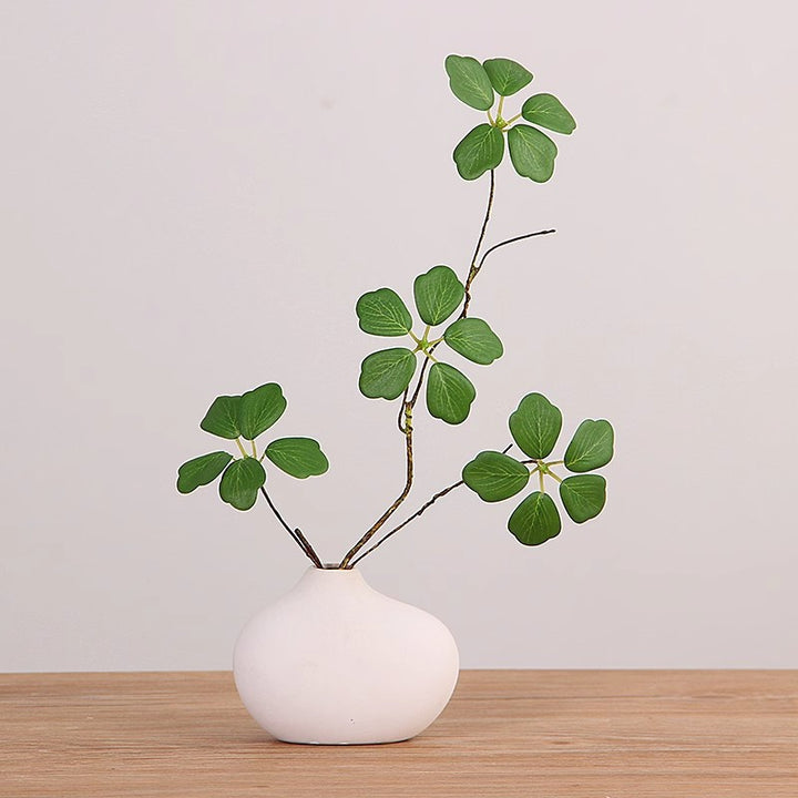 Minimalistische Decoratieve Plantenarrangement