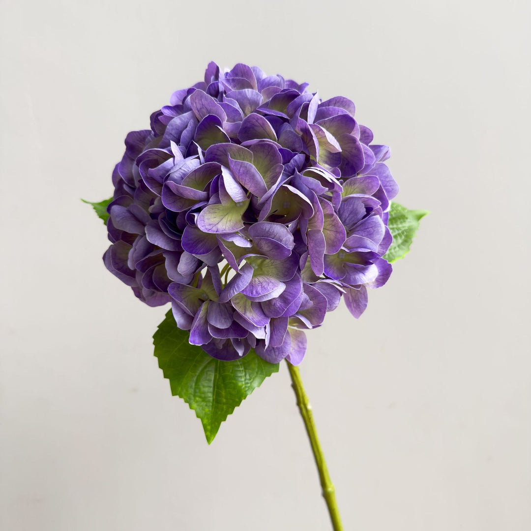 Levensechte Hortensia Steel