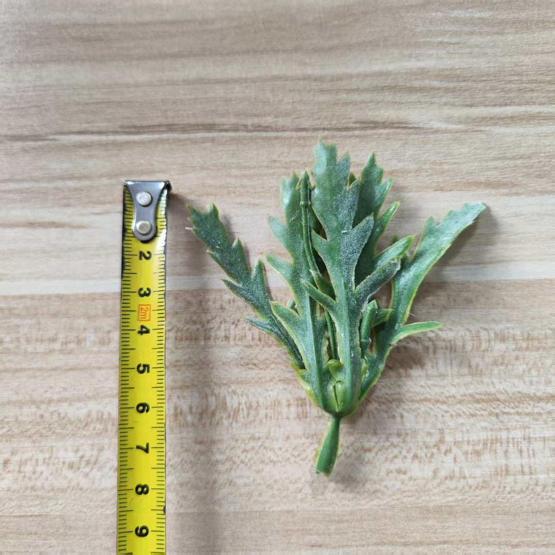 Decoratieve Groene Varensteel