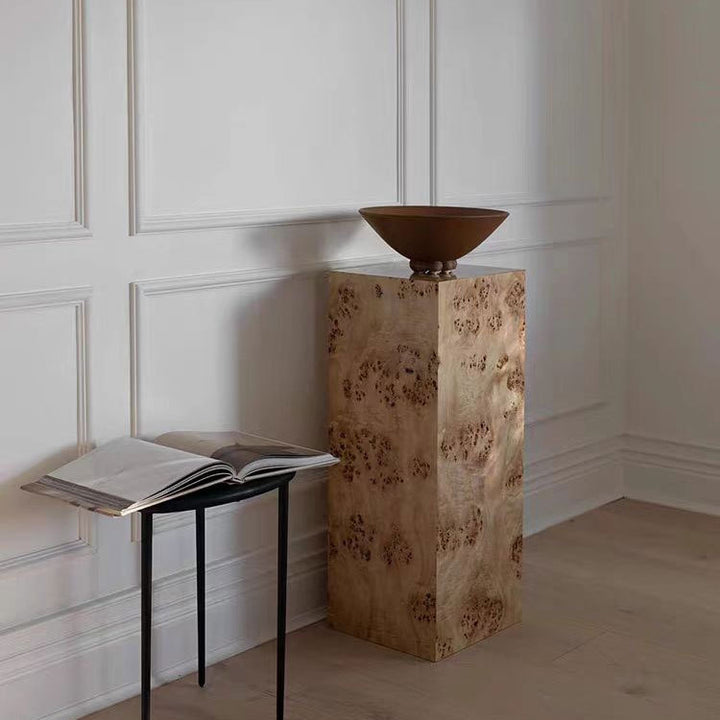 Moderne Decoratieve Houten Opslagkast