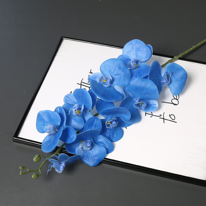 Nepatuur Orchidee Bloemsteel voor Woondecoratie Display