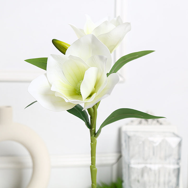 Elegant Magnolia Bloemarrangement voor Huisdecoratie